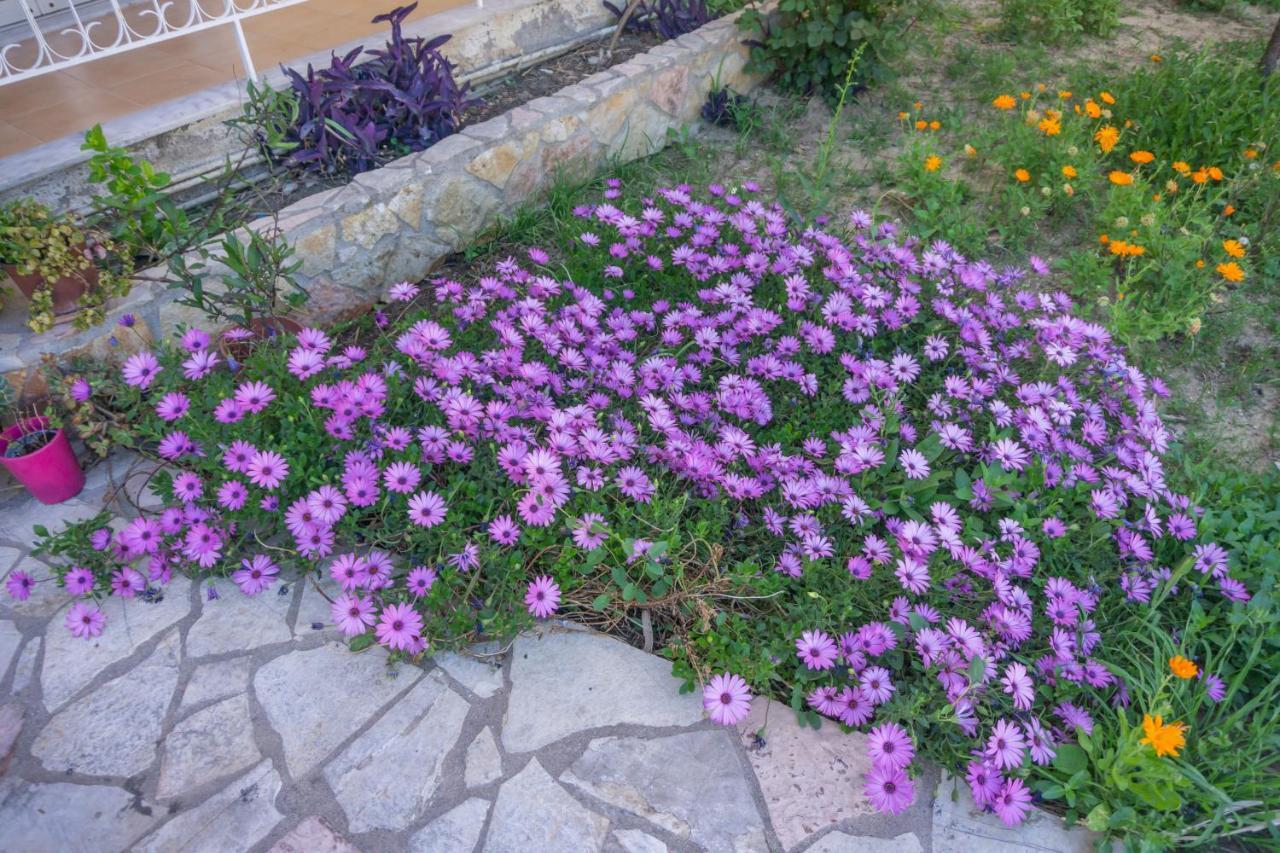 Appartamento Mema's Tranquil In Patra